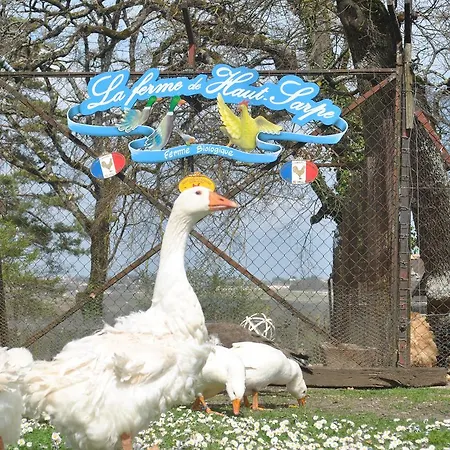 Chateau Haut-sarpe Konukevi Saint-Christophe-des-Bardes