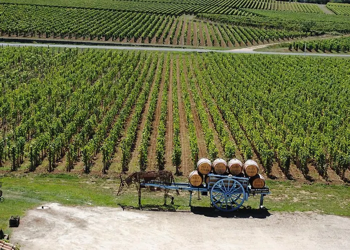 בית הארחה Chateau Haut-sarpe Saint-Christophe-des-Bardes