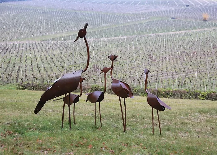 Chateau Haut-sarpe *