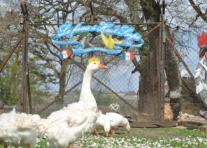Chateau Haut-sarpe בית הארחה Saint-Christophe-des-Bardes